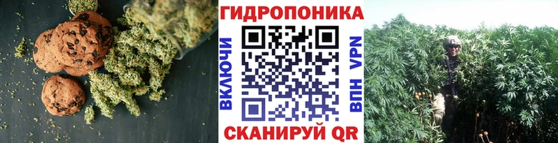 цены наркотик  Шахты  Печенье с ТГК марихуана 