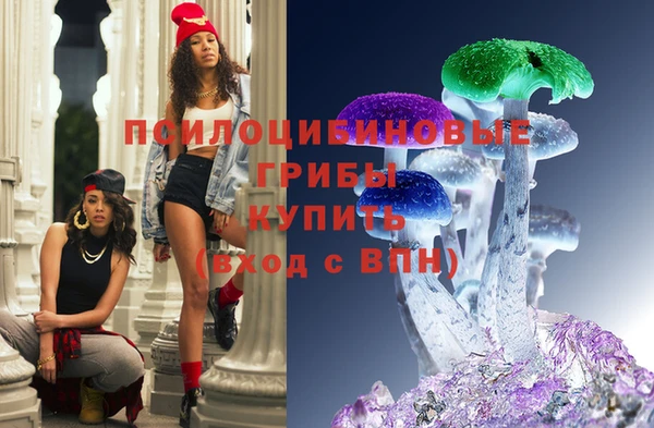 mdpv Дмитров