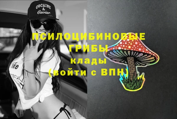 спиды Дмитриев
