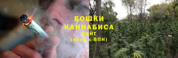 ПСИЛОЦИБИНОВЫЕ ГРИБЫ Тобольск
