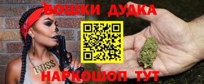 a pvp Славгород