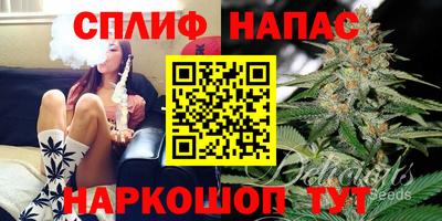 a pvp Славгород