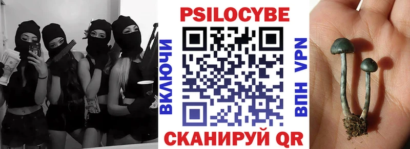 Псилоцибиновые грибы прущие грибы  площадка наркотические препараты  Шахты  цены  