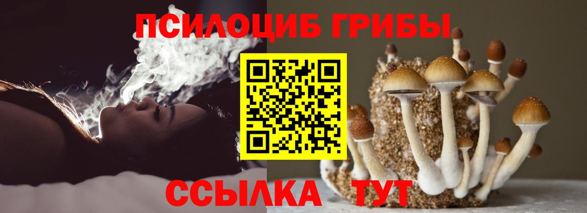 Галлюциногенные грибы Psilocybine cubensis  Вход с VPN  Шахты 